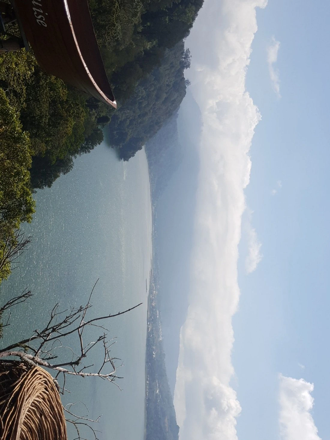 Traveler Photo 2