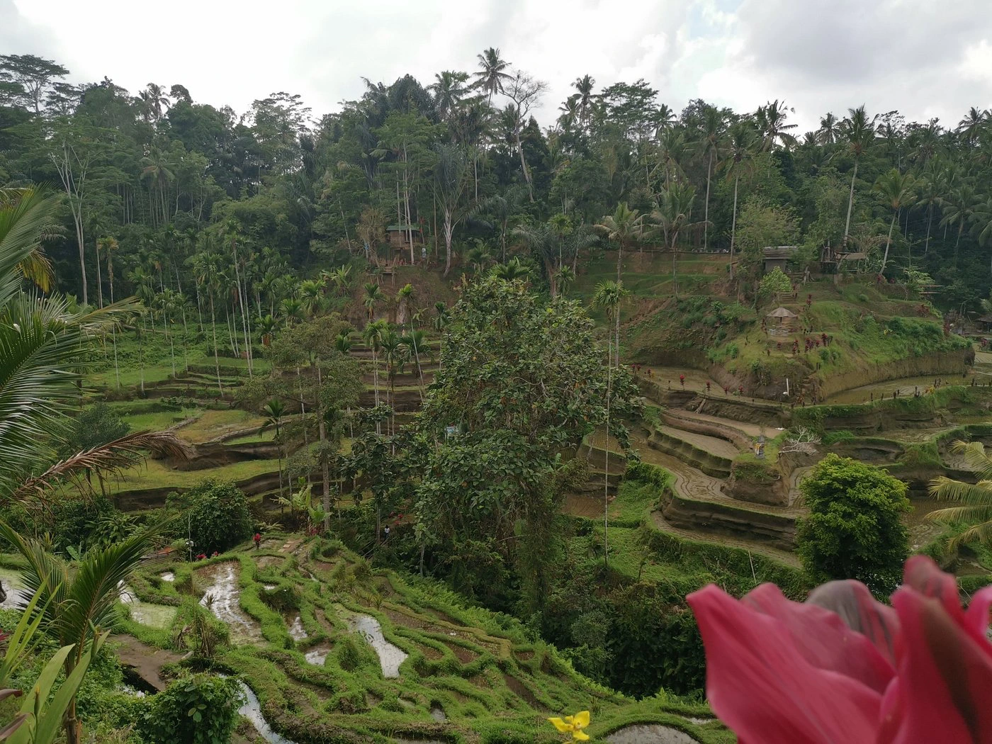 Traveler Photo 3