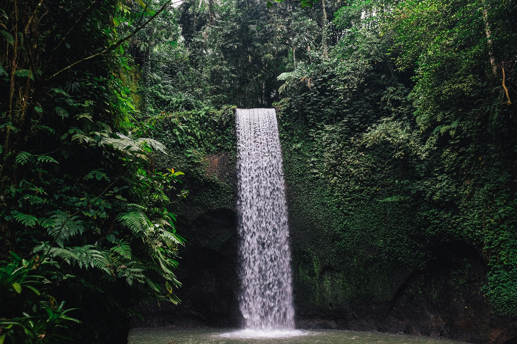 Private Bali Waterfall Tour from Ubud