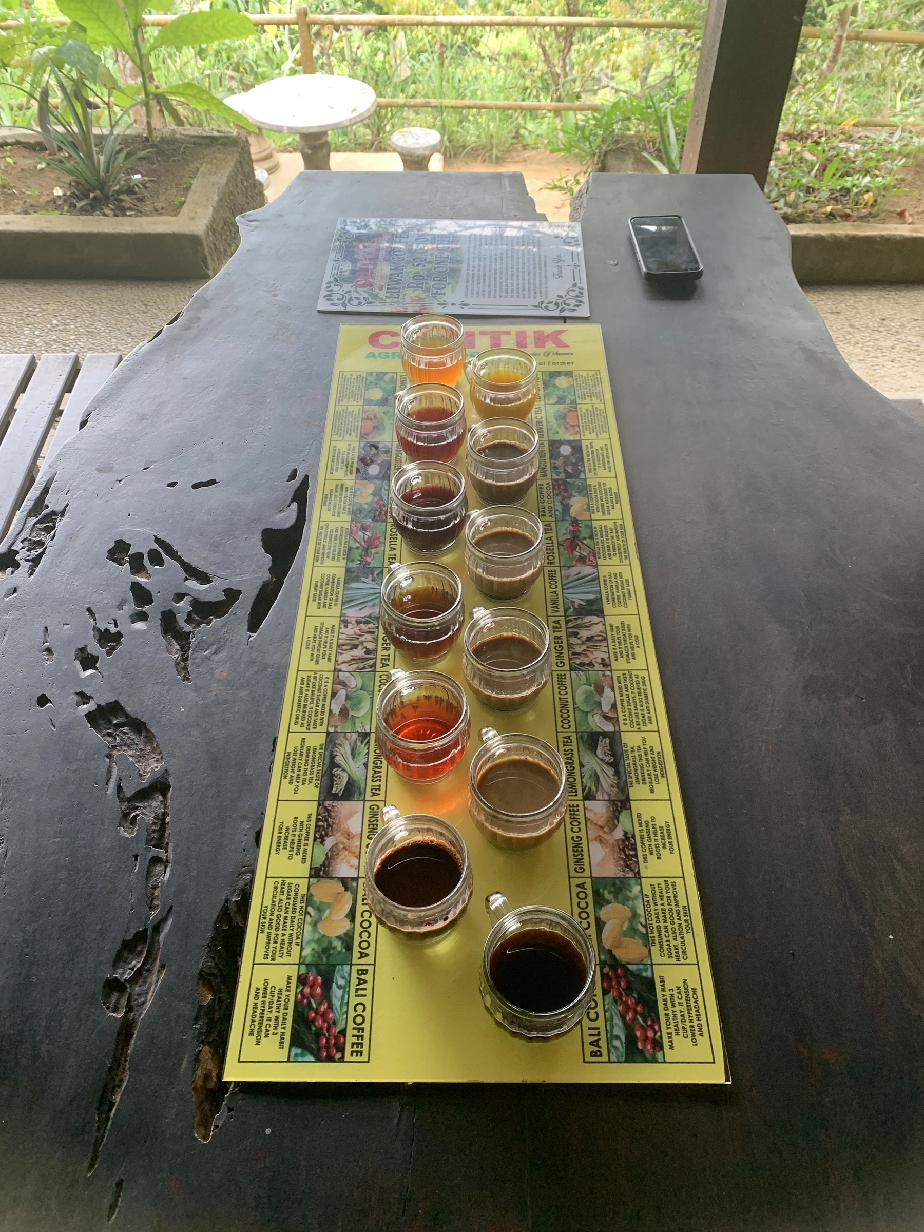 Bali Coffee Plantation Ubud