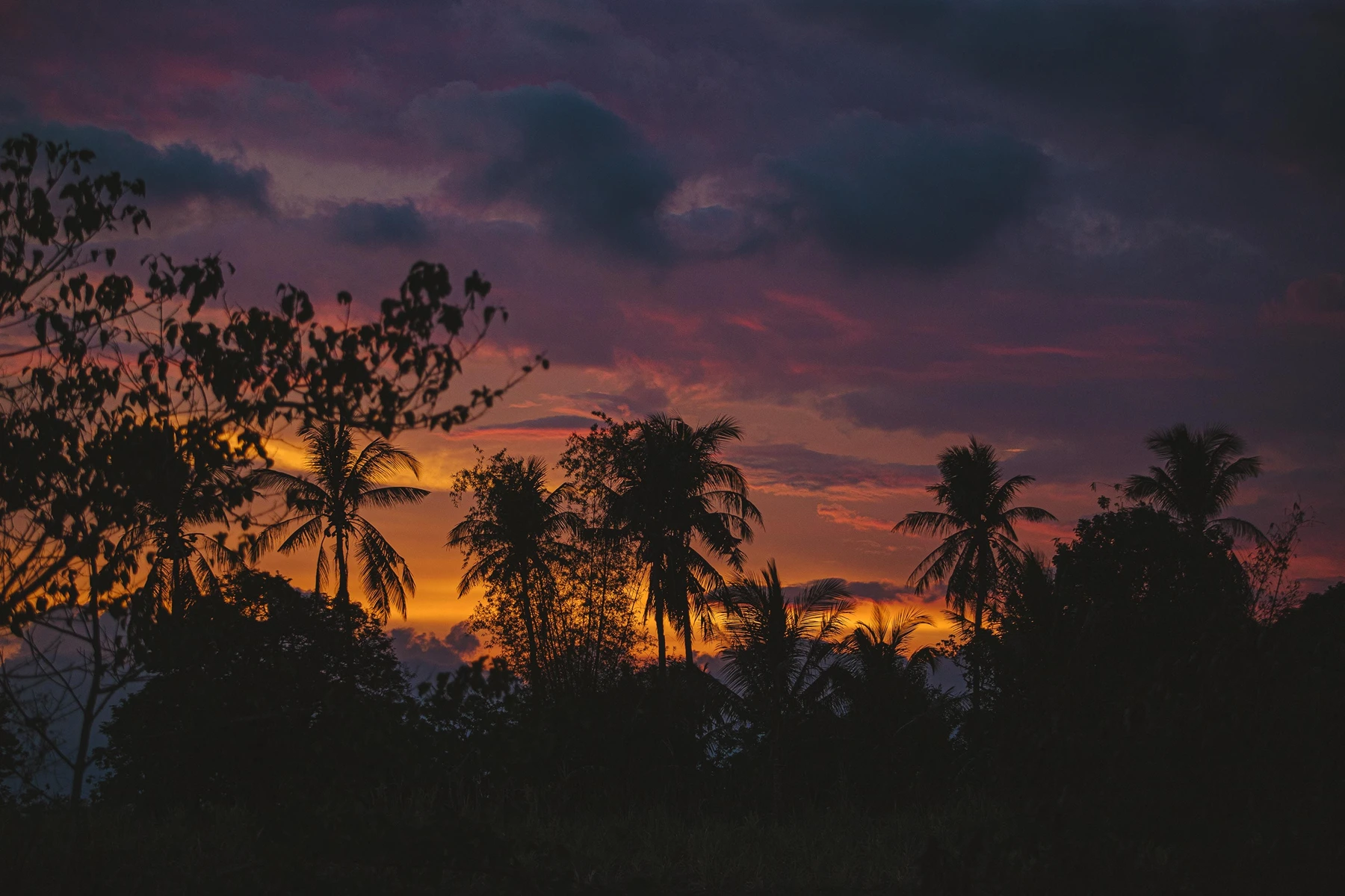 Sunset View at Sayan Valley Ubud