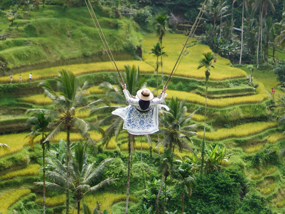Tegalalang Rice Terrace swing