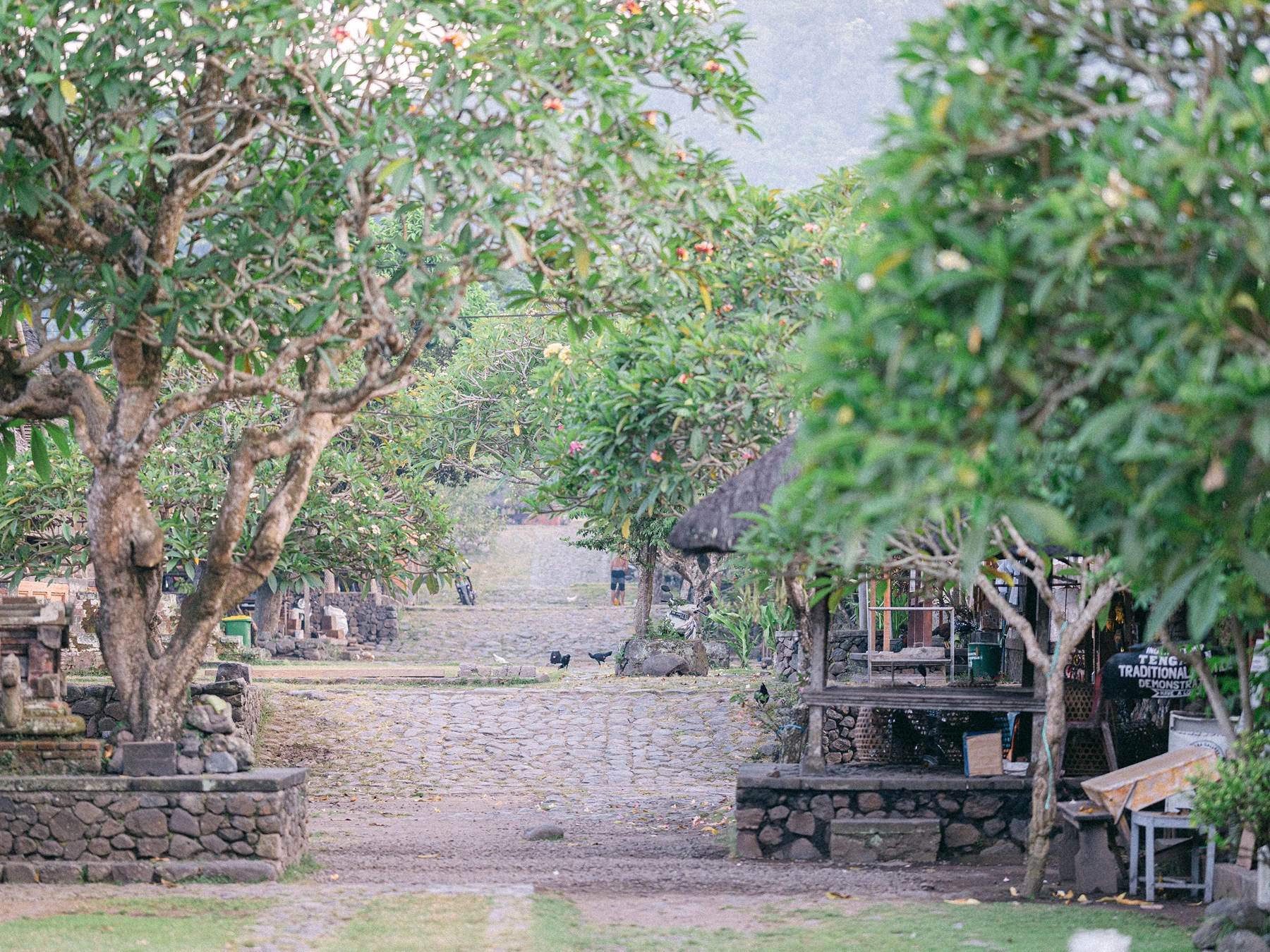 Tenganan Ancient Village in East Bali