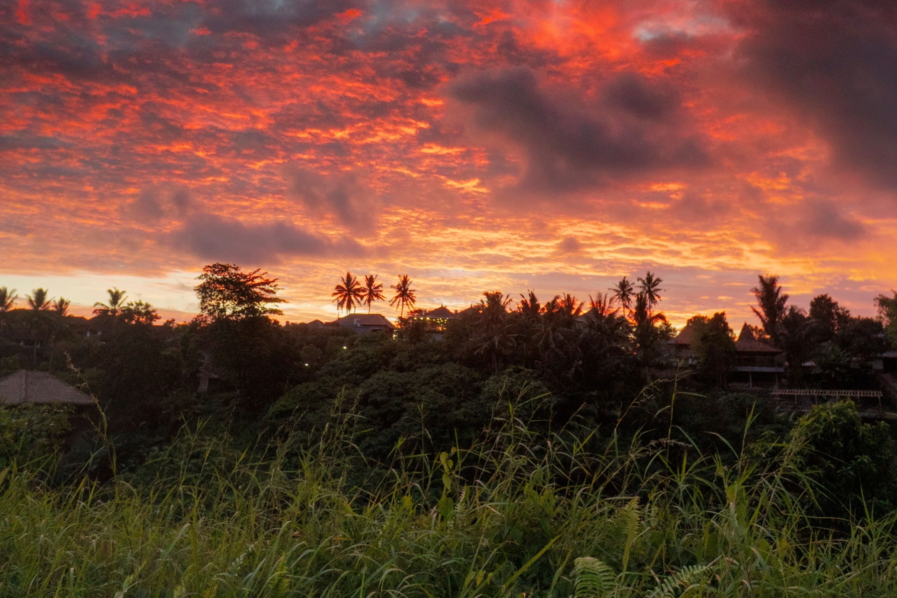 Private Ubud Afternoon & Sunset Tour