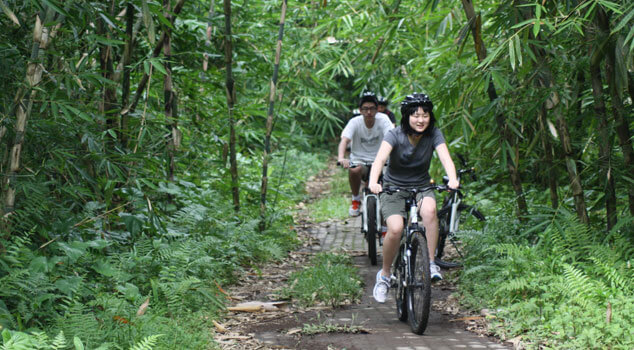 bamboo forest cycling tour