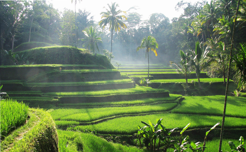 Bali Culture And Natural Tour