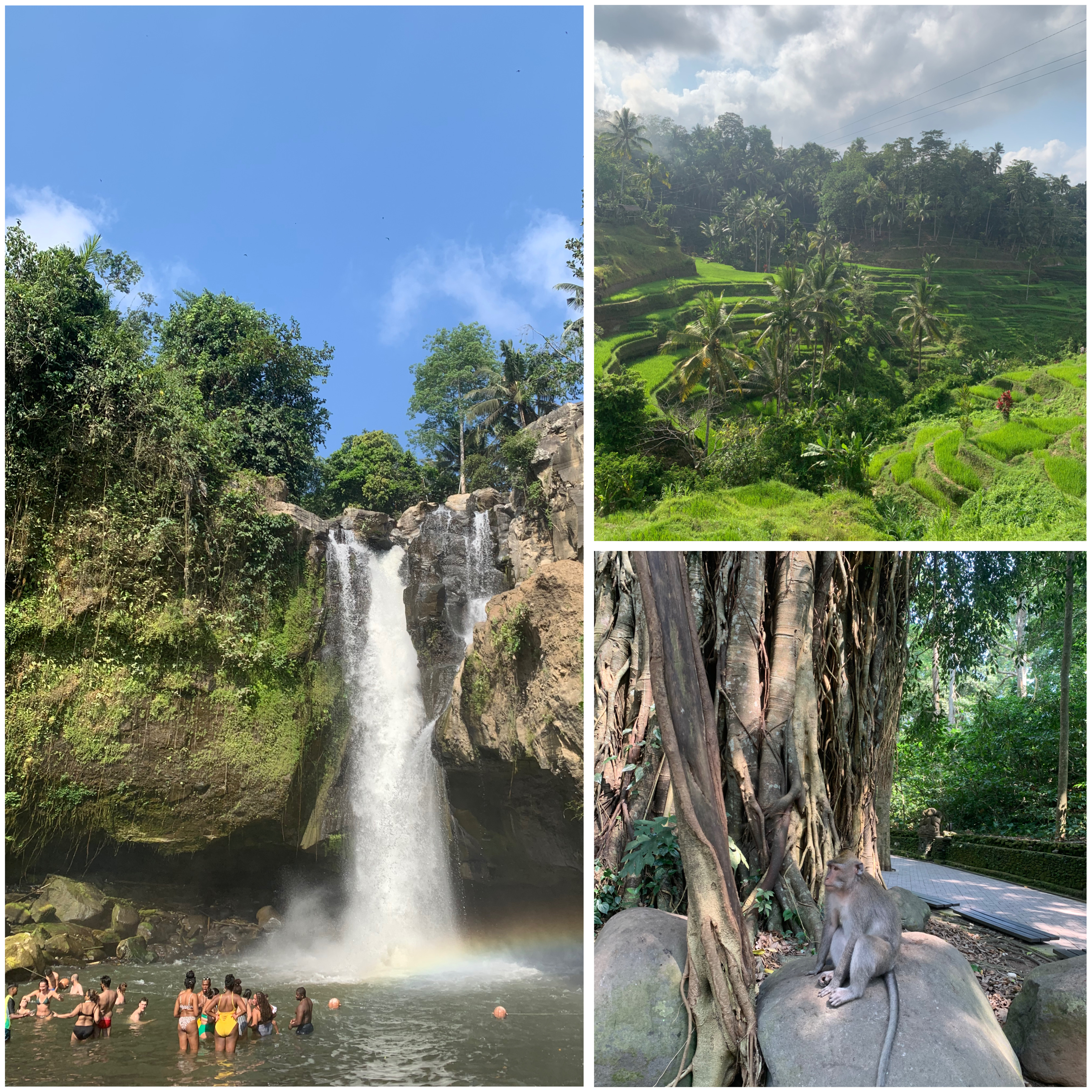 ubud half day